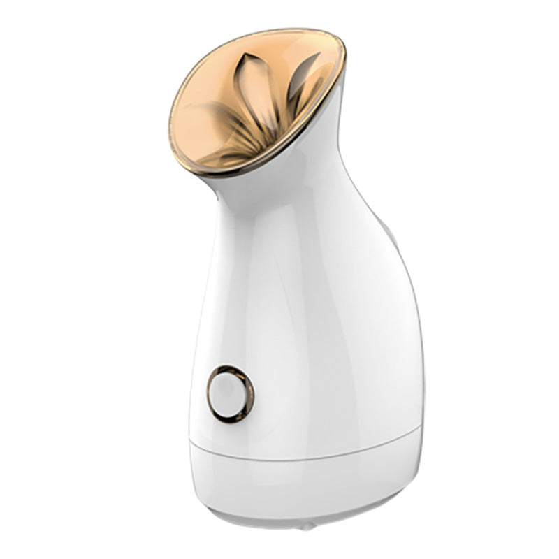 Water Replenishment; Hot Spray Face Steamer