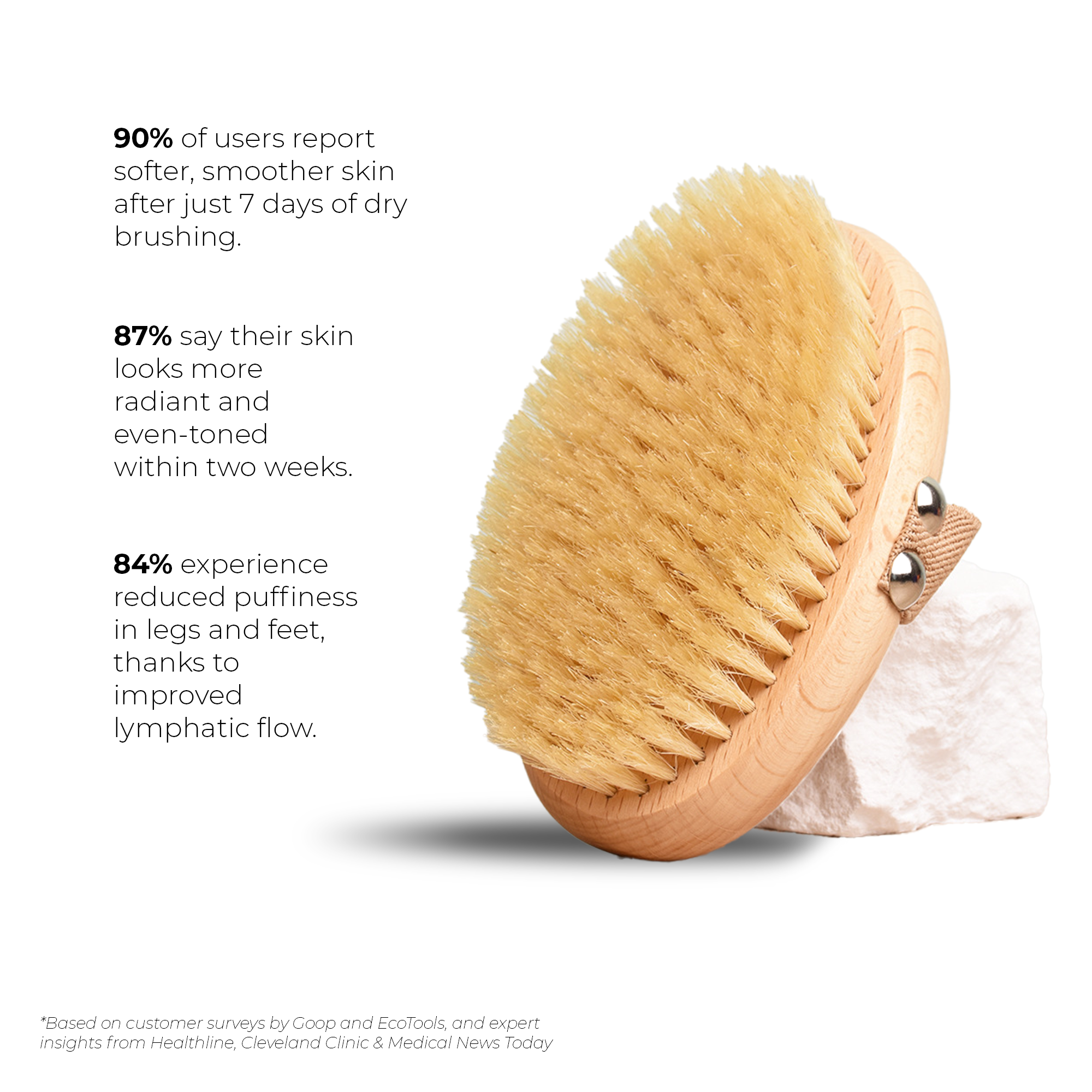 ALBA DRY BRUSH