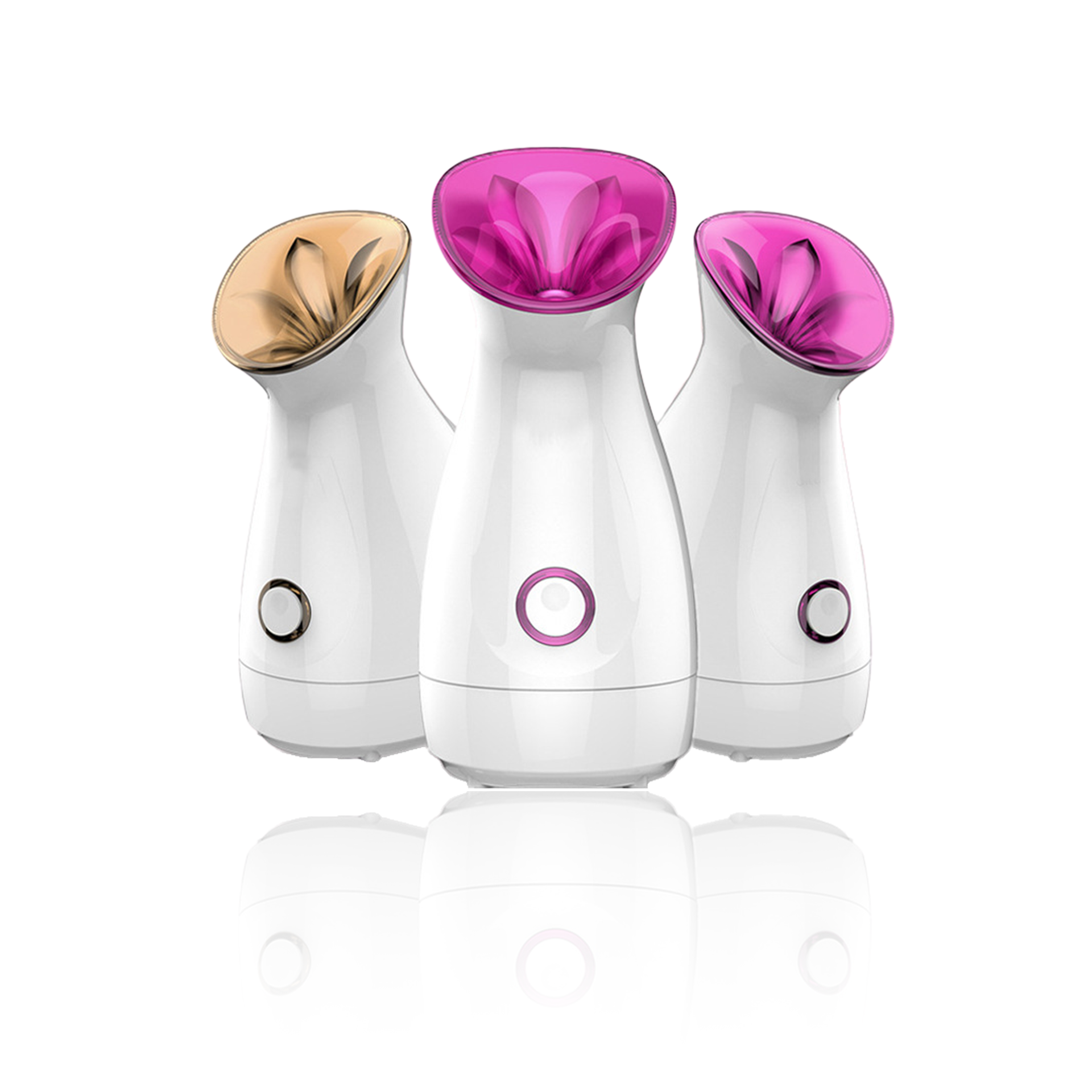EIRA FACE STEAMER